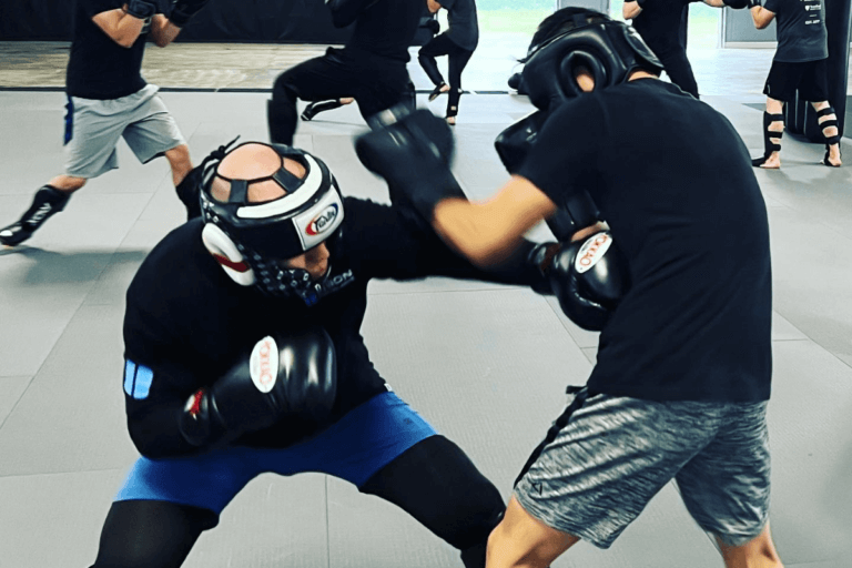 Kickboxing and boxing in mma